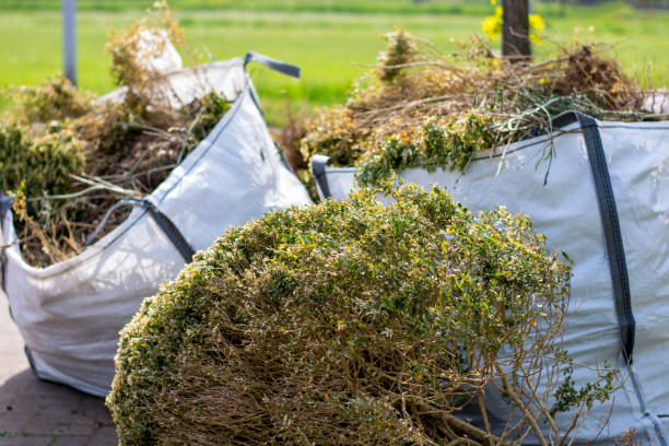 Best Electronics Removal Services  in Corona, CA